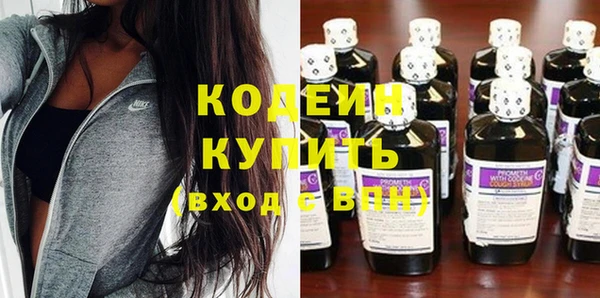 прущие грибы Алагир
